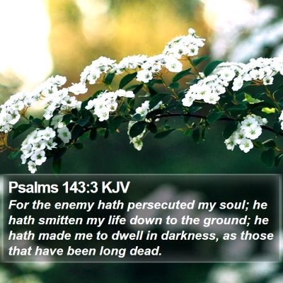 Psalms 143:3 KJV Bible Verse Image
