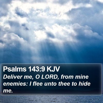 Psalms 143:9 KJV Bible Verse Image