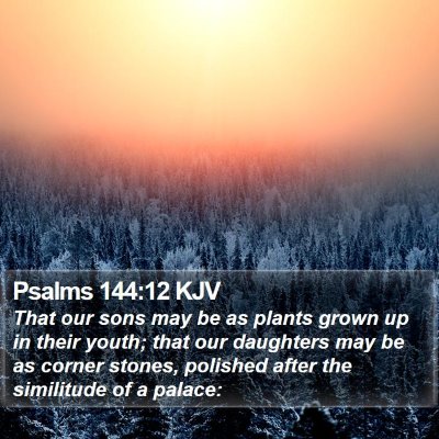 Psalms 144:12 KJV Bible Verse Image