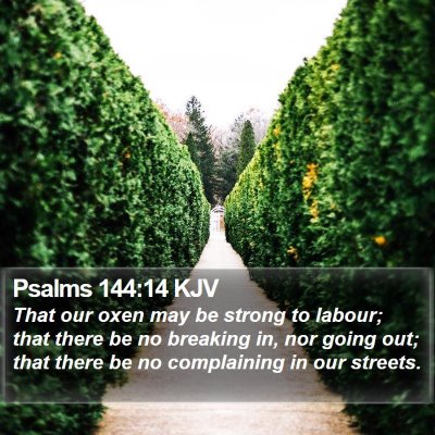 Psalms 144:14 KJV Bible Verse Image