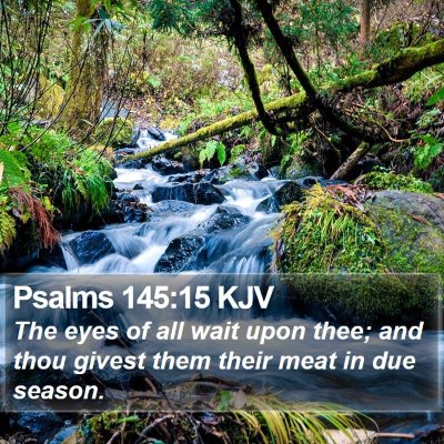 Psalms 145:15 KJV Bible Verse Image