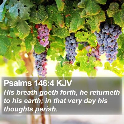 Psalms 146:4 KJV Bible Verse Image
