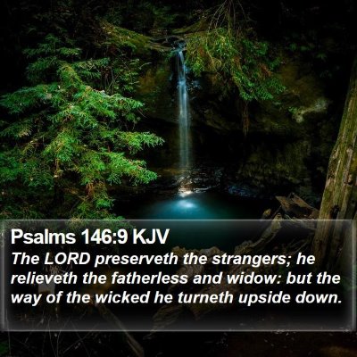 Psalms 146:9 KJV Bible Verse Image