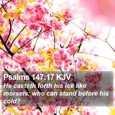 Psalms 147:17 KJV Bible Verse Image