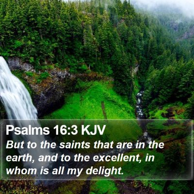 Psalms 16:3 KJV Bible Verse Image