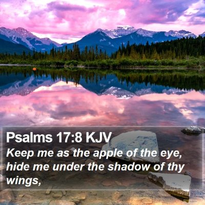 Psalms 17:8 KJV Bible Verse Image