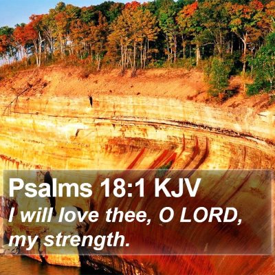 Psalms 18:1 KJV Bible Verse Image