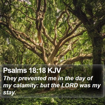 Psalms 18:18 KJV Bible Verse Image