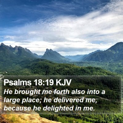 Psalms 18:19 KJV Bible Verse Image