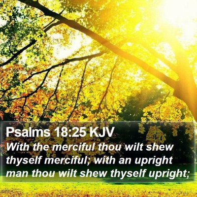 Psalms 18:25 KJV Bible Verse Image