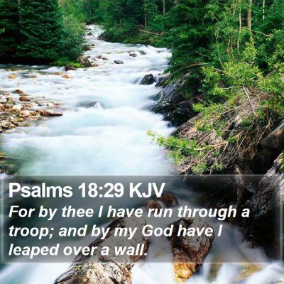 Psalms 18:29 KJV Bible Verse Image