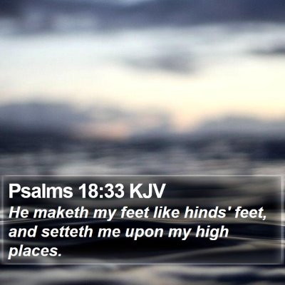 Psalms 18:33 KJV Bible Verse Image