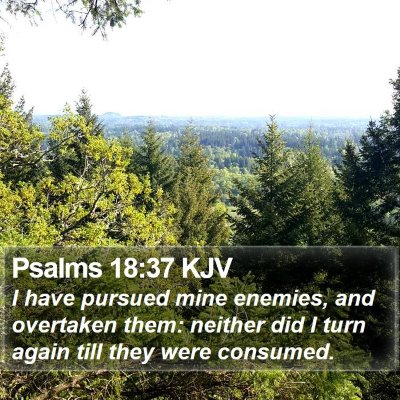 Psalms 18:37 KJV Bible Verse Image