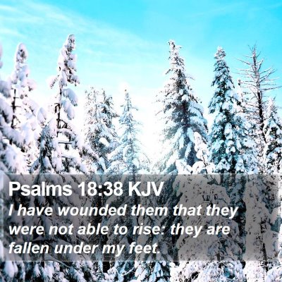 Psalms 18:38 KJV Bible Verse Image