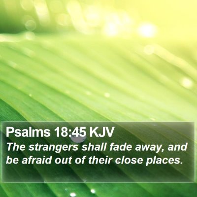 Psalms 18:45 KJV Bible Verse Image