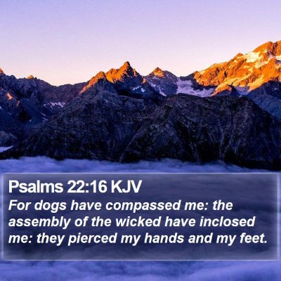 Psalms 22:16 KJV Bible Verse Image
