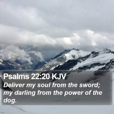 Psalms 22:20 KJV Bible Verse Image