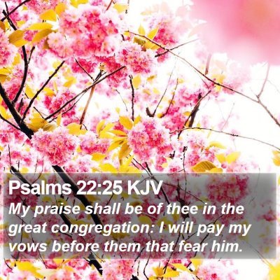 Psalms 22:25 KJV Bible Verse Image