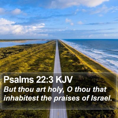Psalms 22:3 KJV Bible Verse Image