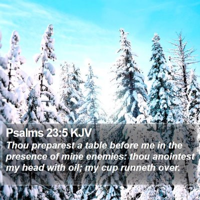 Psalms 23:5 KJV Bible Verse Image