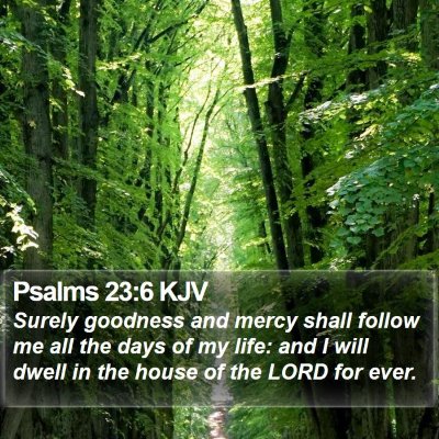 Psalms 23:6 KJV Bible Verse Image