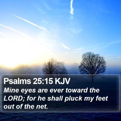 Psalms 25:15 KJV Bible Verse Image