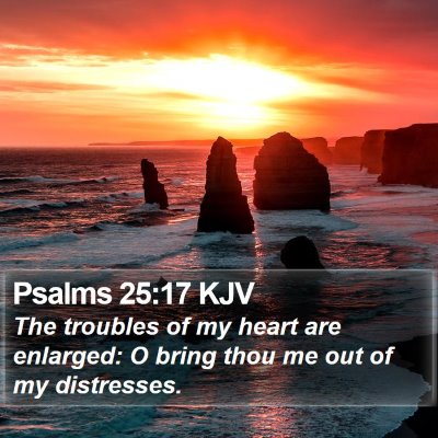 Psalms 25:17 KJV Bible Verse Image