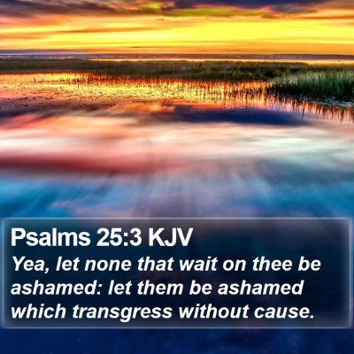 Psalms 25:3 KJV Bible Verse Image