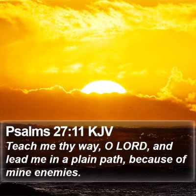 Psalms 27:11 KJV Bible Verse Image