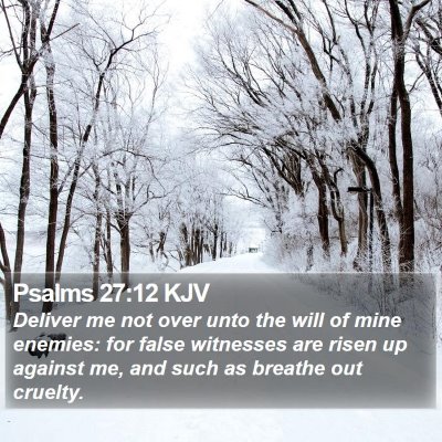 Psalms 27:12 KJV Bible Verse Image