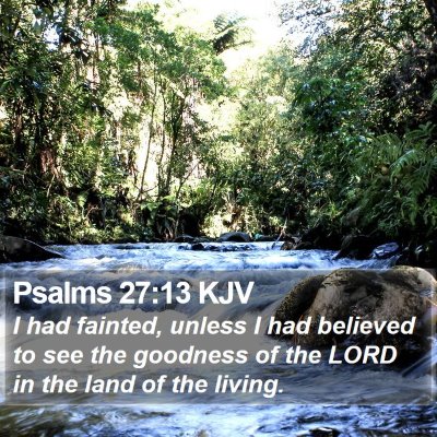 Psalms 27:13 KJV Bible Verse Image