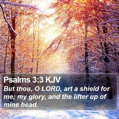 Psalms 3:3 KJV Bible Verse Image