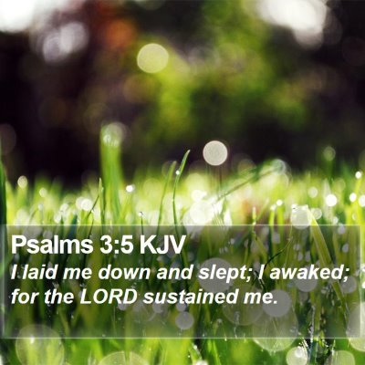 Psalms 3:5 KJV Bible Verse Image