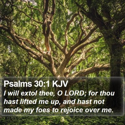 Psalms 30:1 KJV Bible Verse Image