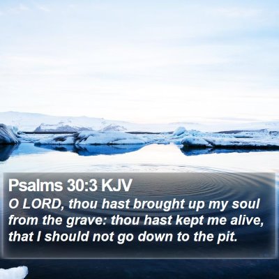 Psalms 30:3 KJV Bible Verse Image