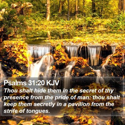 Psalms 31:20 KJV Bible Verse Image