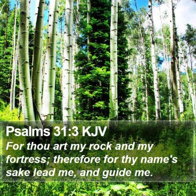 Psalms 31:3 KJV Bible Verse Image
