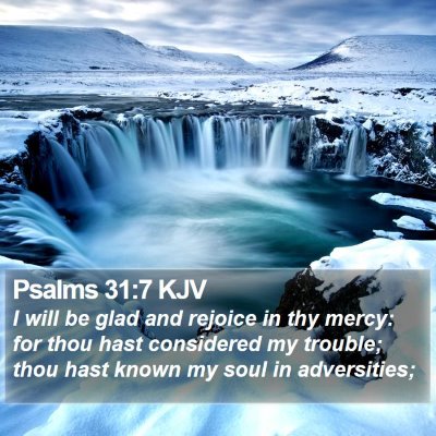 Psalms 31:7 KJV Bible Verse Image