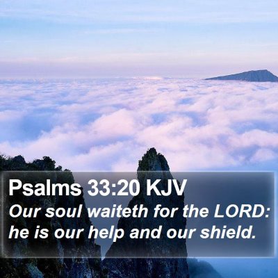 Psalms 33:20 KJV Bible Verse Image