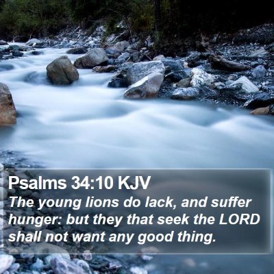 Psalms 34:10 KJV Bible Verse Image
