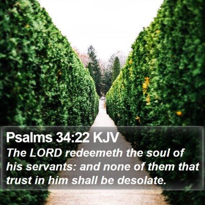 Psalms 34:22 KJV Bible Verse Image