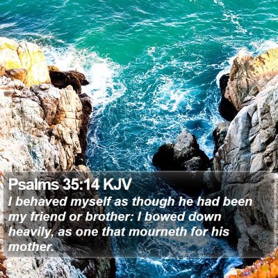 Psalms 35:14 KJV Bible Verse Image