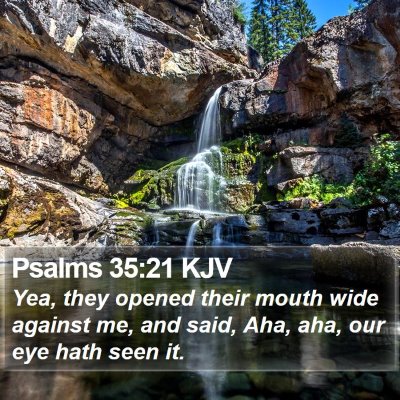 Psalms 35:21 KJV Bible Verse Image