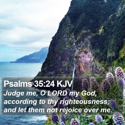 Psalms 35:24 KJV Bible Verse Image