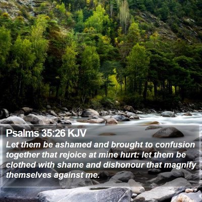 Psalms 35:26 KJV Bible Verse Image