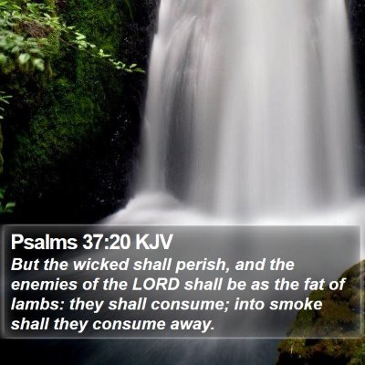 Psalms 37:20 KJV Bible Verse Image