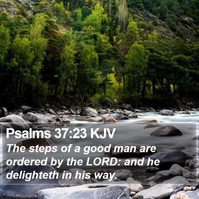 Psalms 37:23 KJV Bible Verse Image