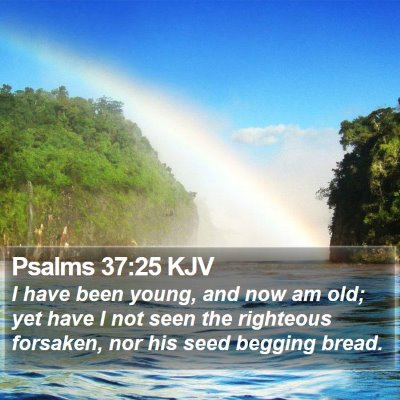 Psalms 37:25 KJV Bible Verse Image
