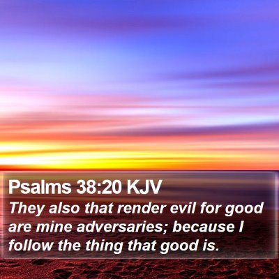 Psalms 38:20 KJV Bible Verse Image