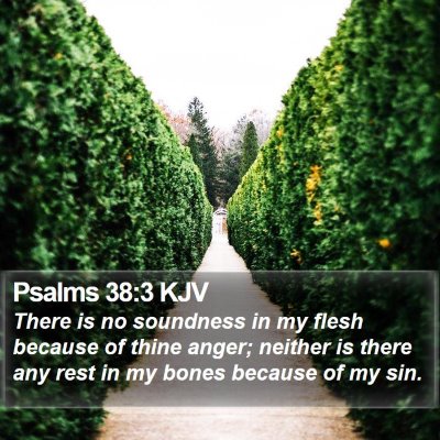 Psalms 38:3 KJV Bible Verse Image